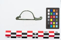 Foto von Bronzecertosafibel (NHMW-PRAE-026567)